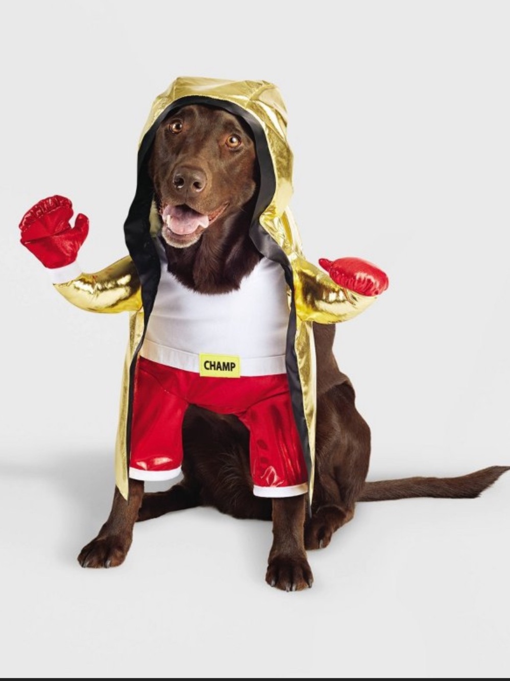 ๐ฅ๐ NWT Boxing Champ Halloween Dog Costume - Lg - Boots and Barkley ๐ฅ๐